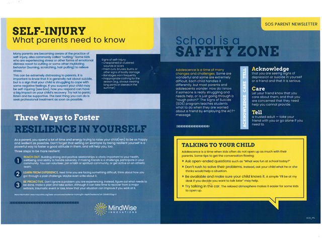 School Safety Zone: self injury infographic