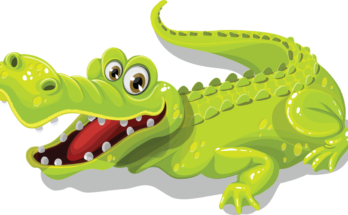 baby gator