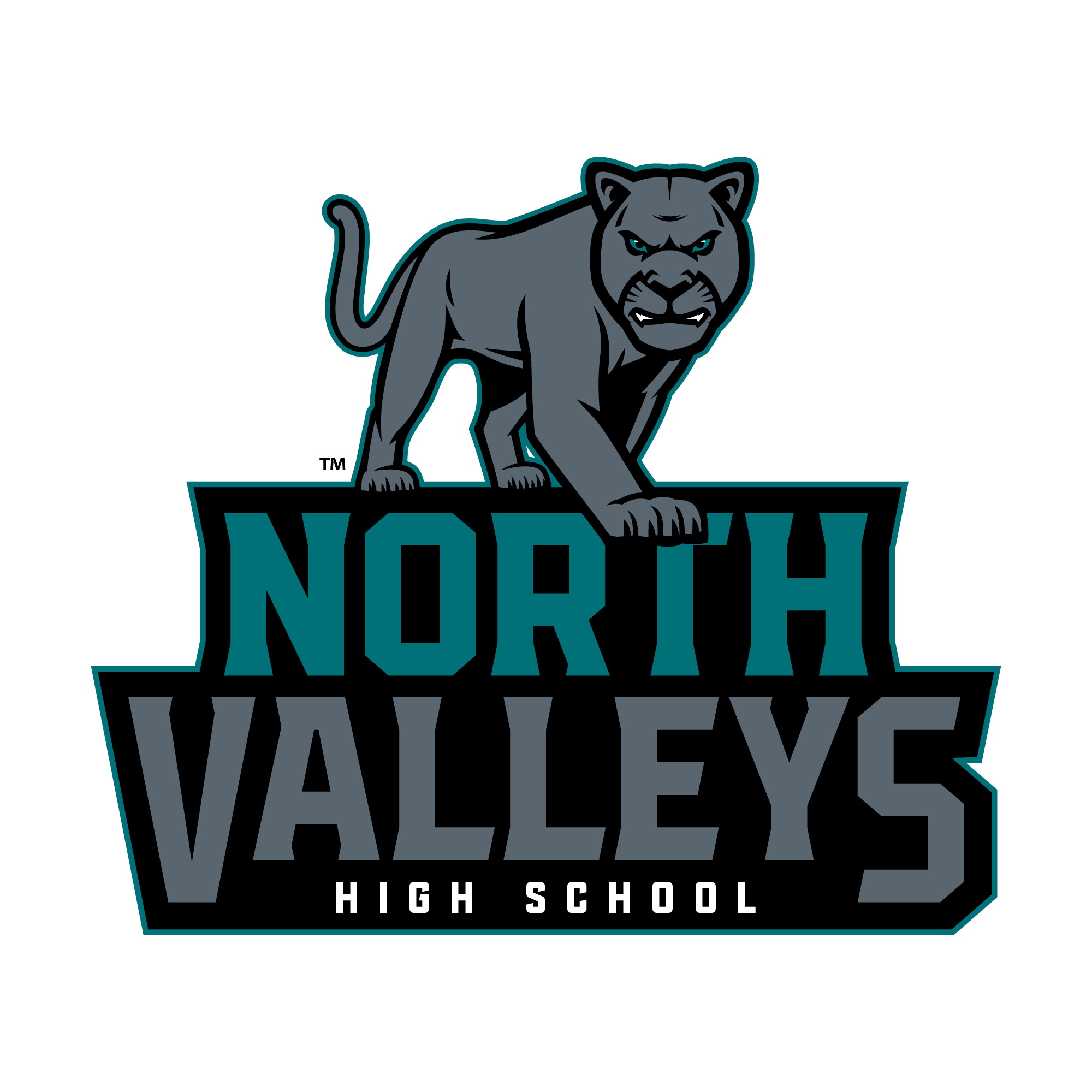 North Valleys High School Primary Logo