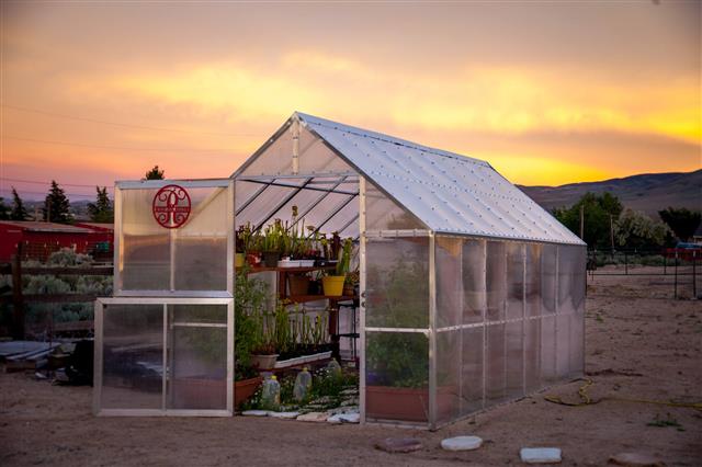 greenhouse 