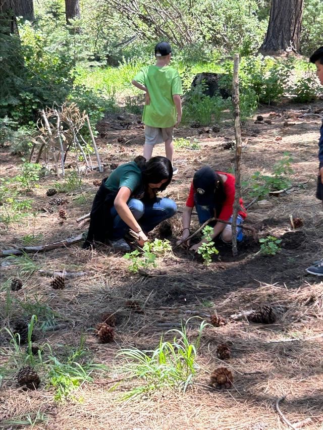 Outdoor STEM learning