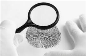 fingerprint