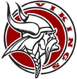 Vikings Vikings
