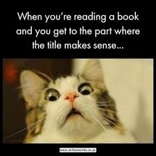 Cat meme